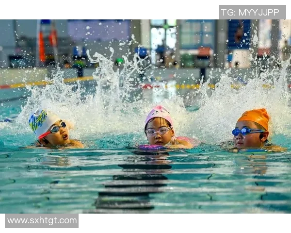 科学高效的游泳训练计划打造强健体魄与提高技术水平